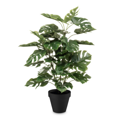 Monstera - Bushy Swiss Cheese Plant - Potted - Artificial