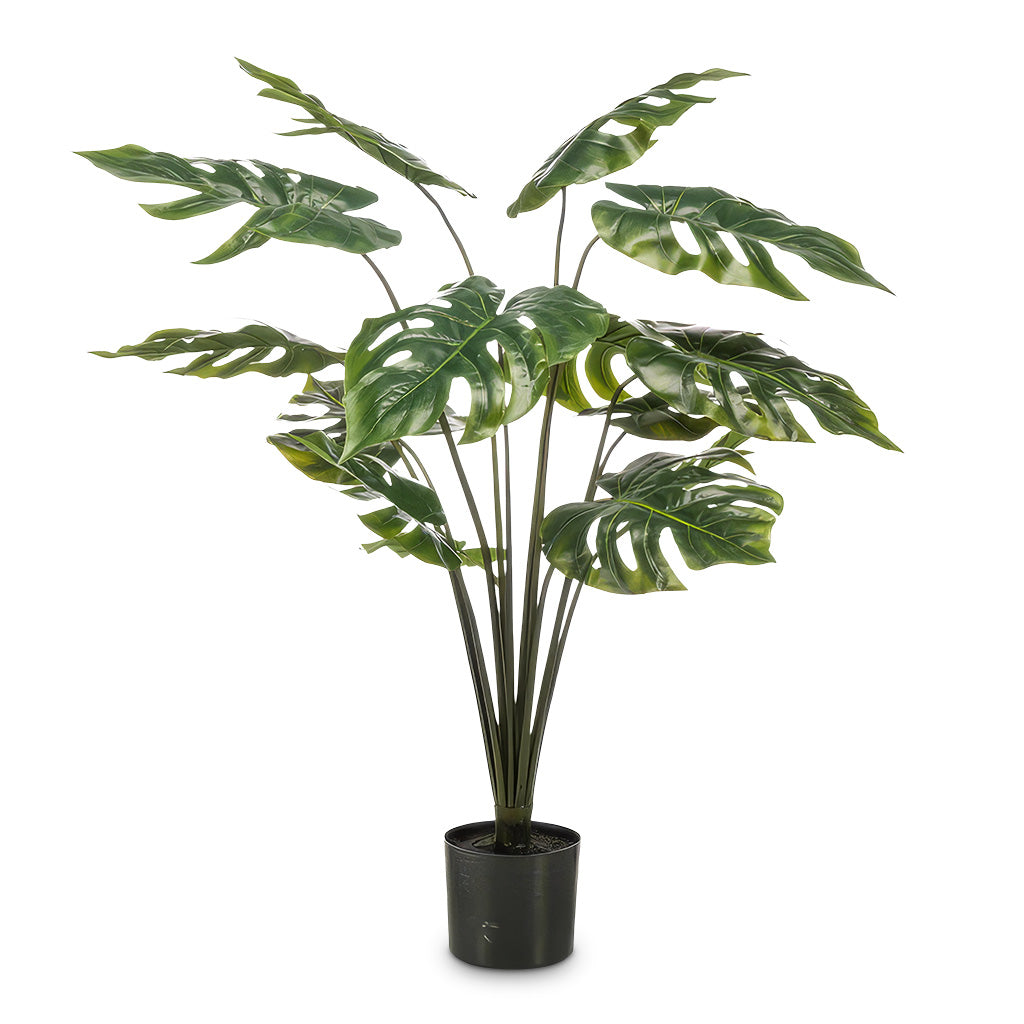 Monstera - Swiss Cheese Plant - Potted - Artificial