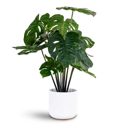 Monstera - Swiss Cheese Plant - Potted - Artificial
