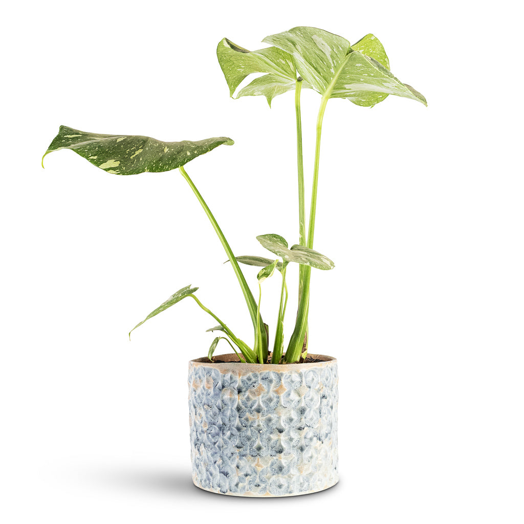 Terni Plant Pot - Denim