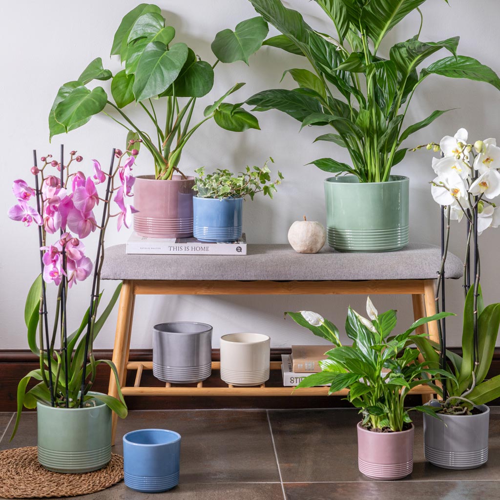 Munich Plant Pot - Grey Gloss