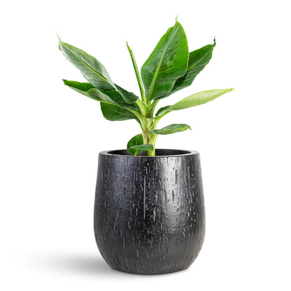 Raindrop Couple Balloon Planter - Large Plant Display