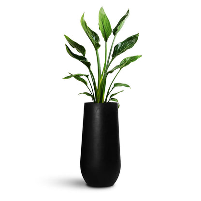 Nax Natural Tall Planter - Large Plant Display