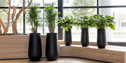Nax Natural Tall Planter - XL Plant Display