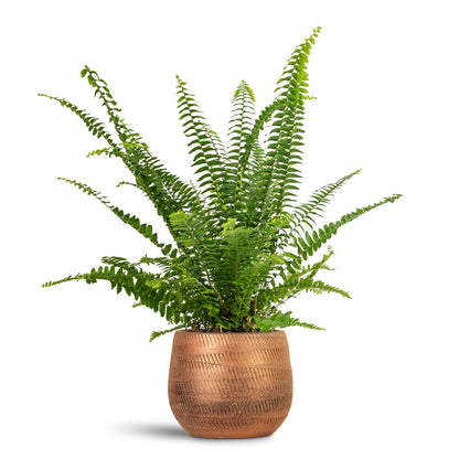 Joey Plant Pot - Shiny Copper