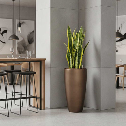 Gradient Partner Planter - Large Plant Display
