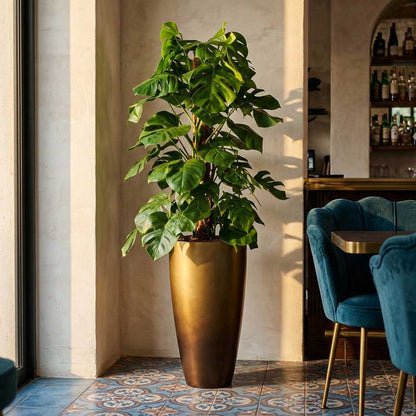 Gradient Partner Planter - XL Plant Display