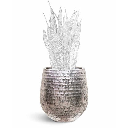 Opus Hammered Darcy Planter - Large Plant Display