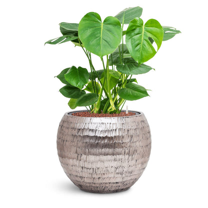 Opus Hammered Globe Planter - Large Plant Display