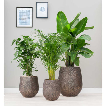 Opus Hit Darcy Planter - Large Plant Display
