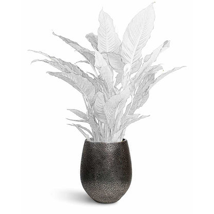 Opus Hit Darcy Planter - XL Plant Display