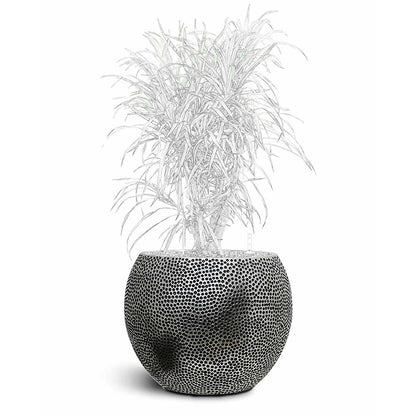 Opus Hit Globe Planter - Large Plant Display