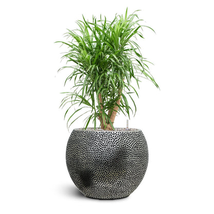 Opus Hit Globe Planter - Large Plant Display