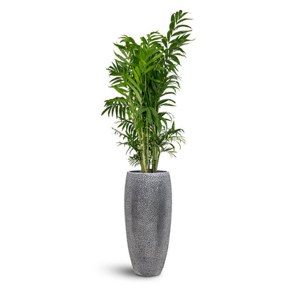 Opus Hit Partner Planter - Plant Display