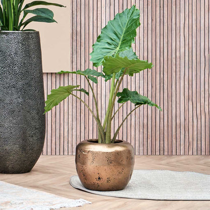 Opus Raw Couple Planter - XL Plant Display