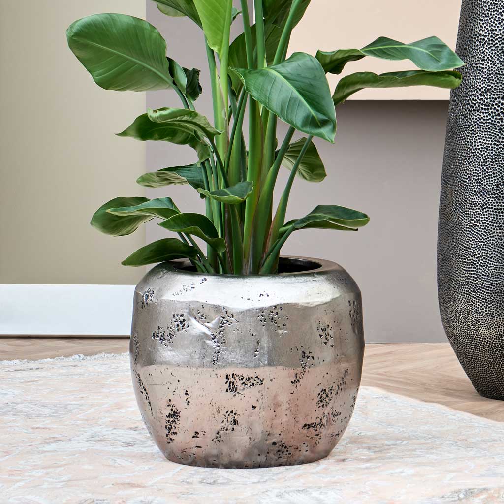 Opus Raw Couple Planter - XL Plant Display