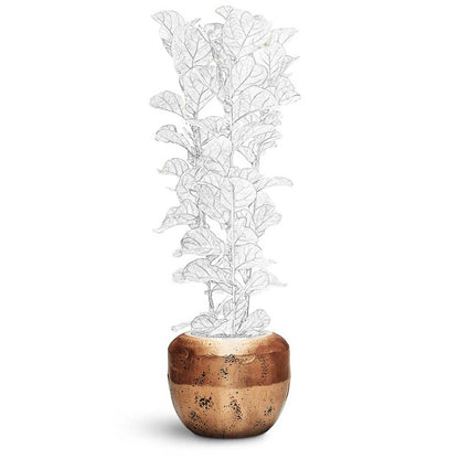 Opus Raw Couple Planter - XL Plant Display