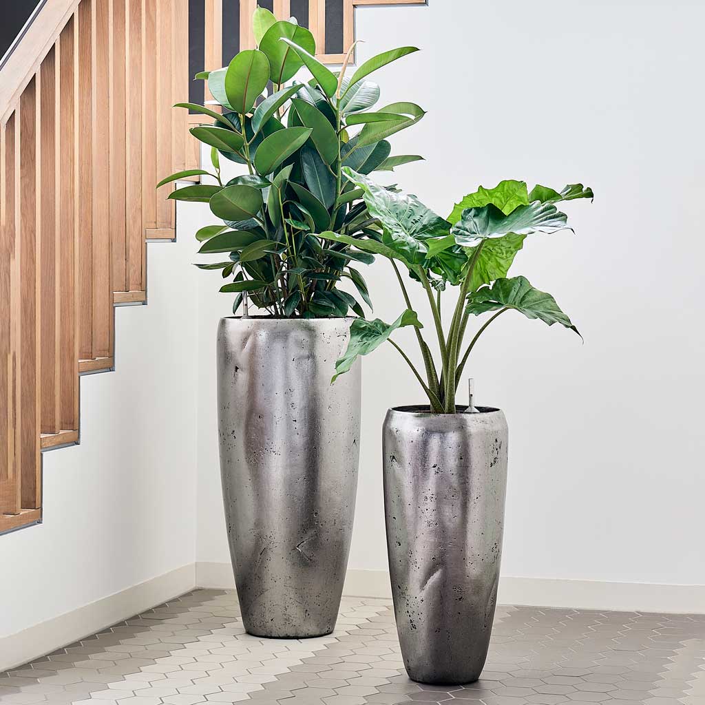 Opus Raw Partner Planter - XL Plant Display