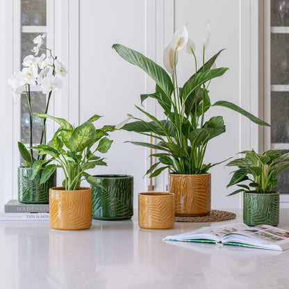 Orla Fern Plant Pot - Emerald