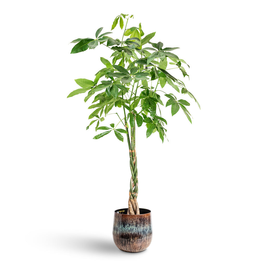 Cilia Metal Plant Pot - Mystic Sepia