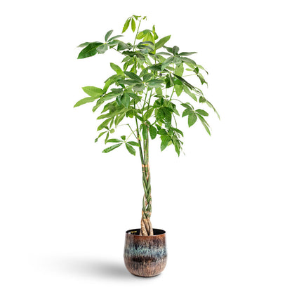 Cilia Metal Plant Pot - Mystic Sepia