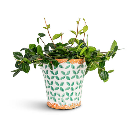 Porto Plant Pot - Green Tile
