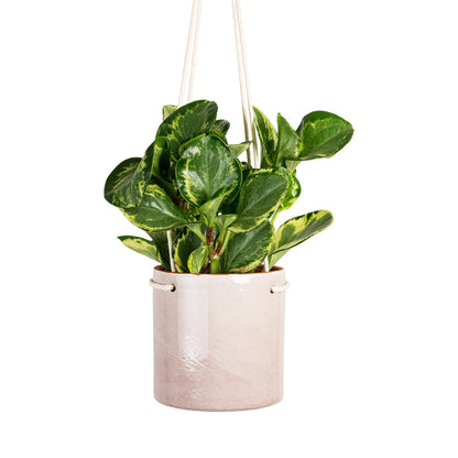 Kai Hanging Plant Pot - Blush