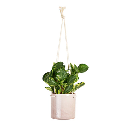 Kai Hanging Plant Pot - Blush