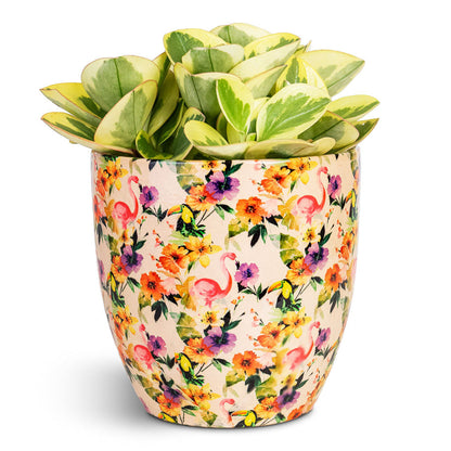 Monza Plant Pot - Floral Flamingo