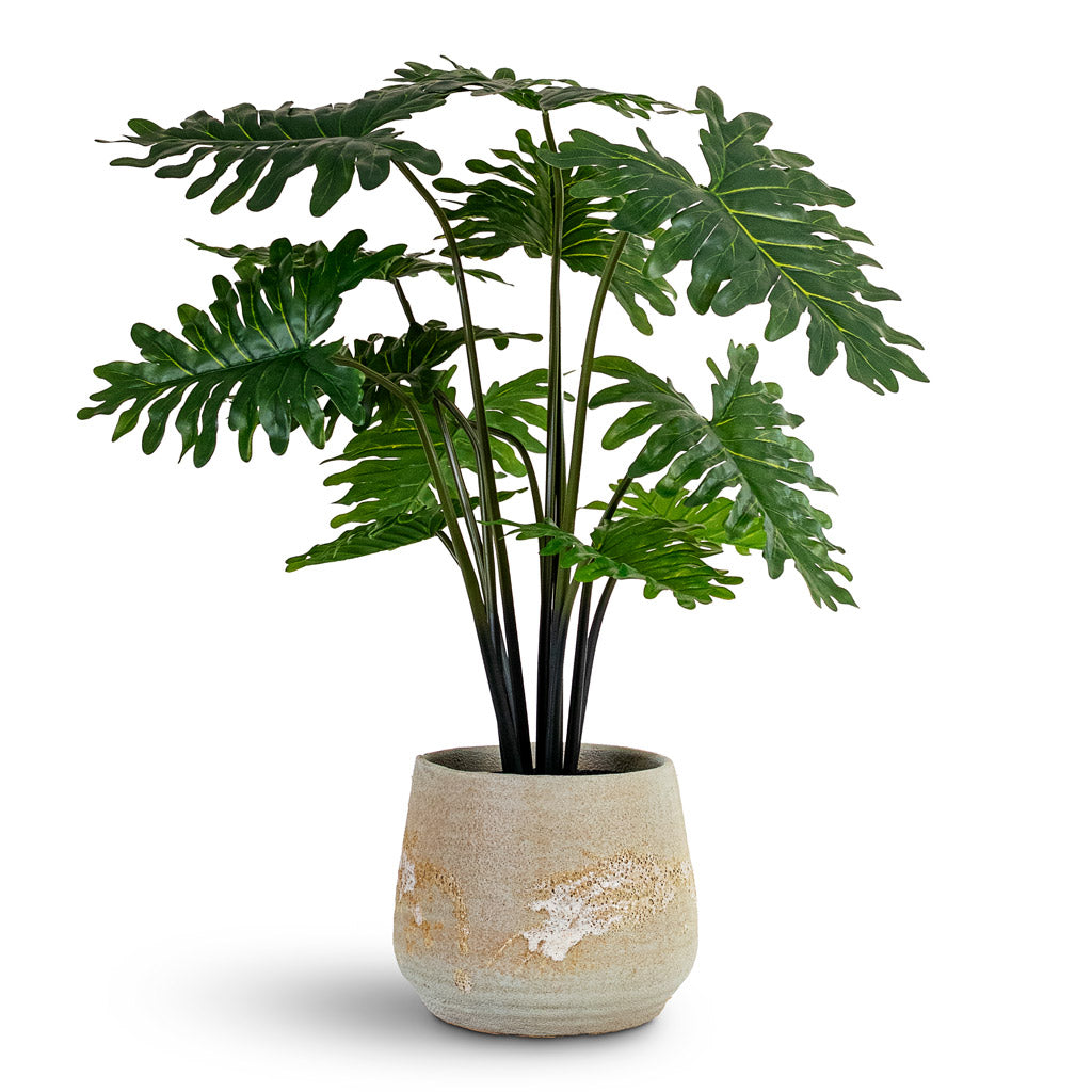 Philodendron - Potted - Artificial