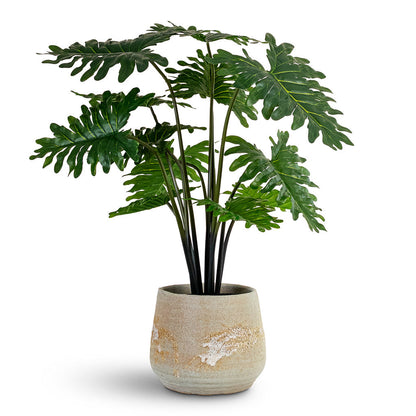 Philodendron - Potted - Artificial