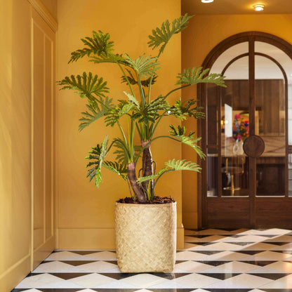 Philodendron selloum - Potted - Artificial