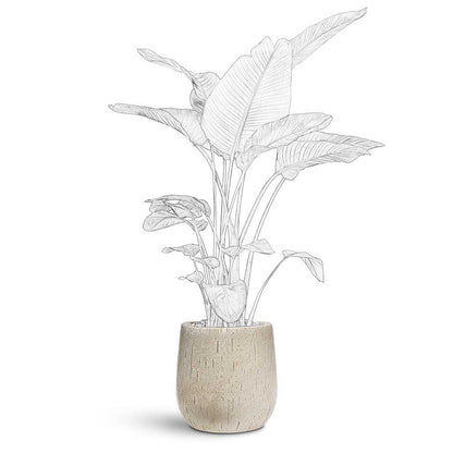 Raindrop Couple Balloon Planter - Large Plant Display