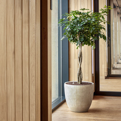 Raindrop Egg Planter - Large Plant Display