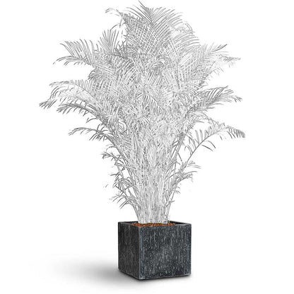 Raindrop Cube Planter - XL Plant Display