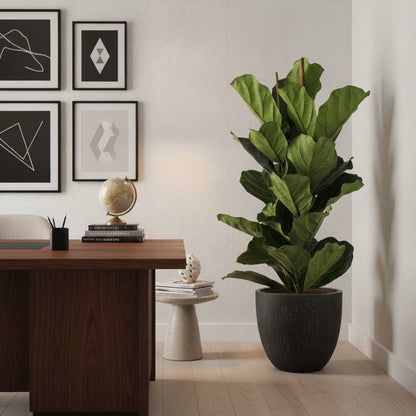 Raindrop Egg Planter - XL Plant Display