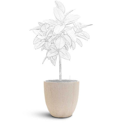 Raindrop Egg Planter - Large Plant Display