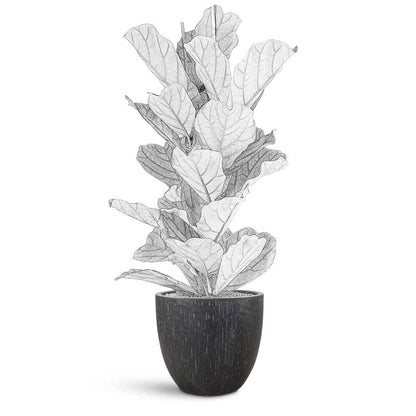 Raindrop Egg Planter - XL Plant Display