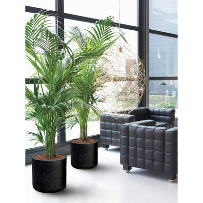 Raindrop Round Planter - XL Plant Display