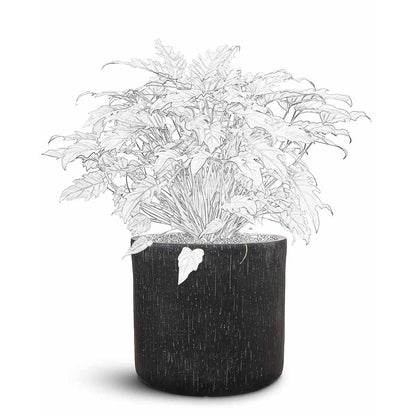 Raindrop Round Planter - Large Plant Display