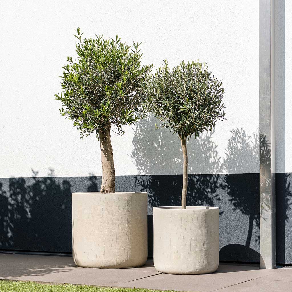 Raindrop Round Planter - Large Plant Display