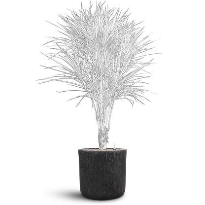 Raindrop Round Planter - XL Plant Display
