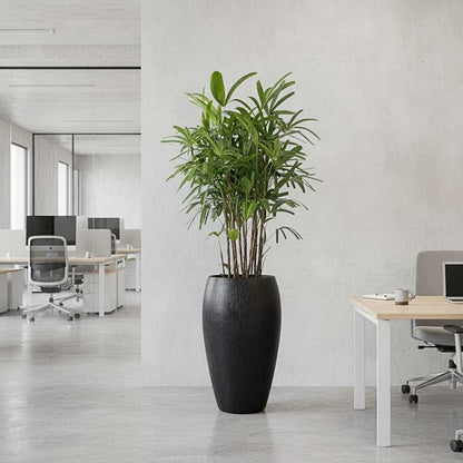 Raindrop Tall Balloon Planter - XL Plant Display