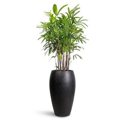 Raindrop Tall Balloon Planter - Large Plant Display