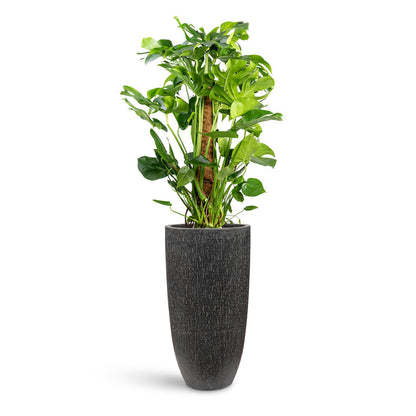 Raindrop Tall Partner Planter - XL Plant Display