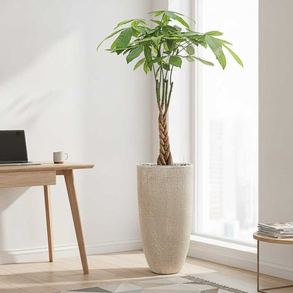 Raindrop Tall Partner Planter - XL Plant Display