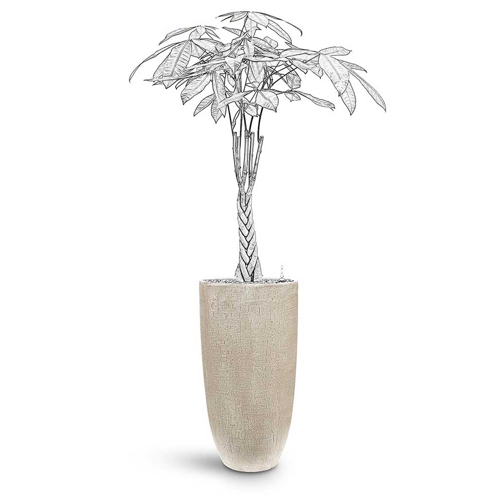 Raindrop Tall Partner Planter - Large Plant Display