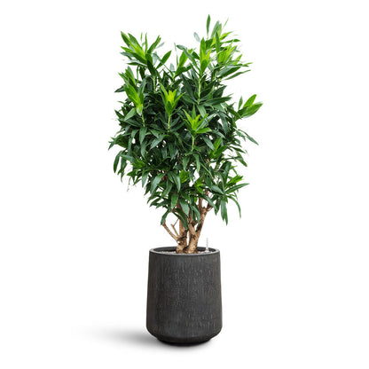 Raindrop Tube High Round Planter - XL Plant Display