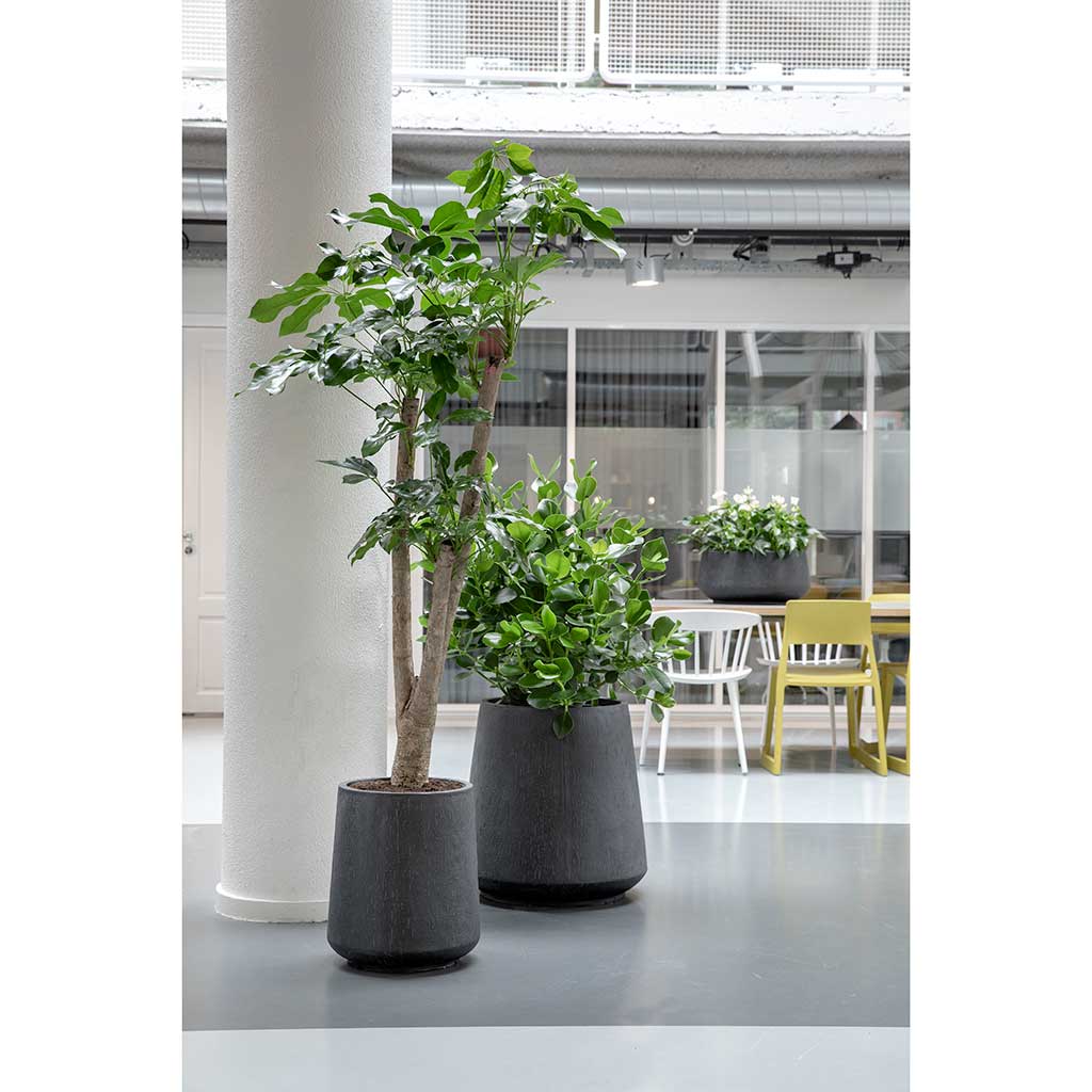 Raindrop Tube High Round Planter - XL Plant Display