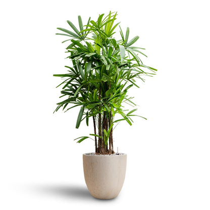 Raindrop Egg Planter - Large Plant Display